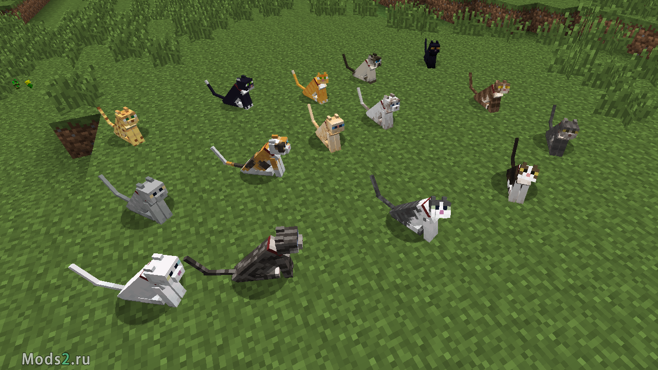 Данный мод Not Enough Cats, добавит в игру более 10 новых видов кошек. 