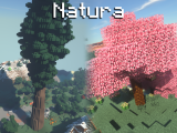 Фото Natura - новые деревья и растения [1.12.2] [1.11.2] [1.10.2] [1.7.10] [1.6.4]